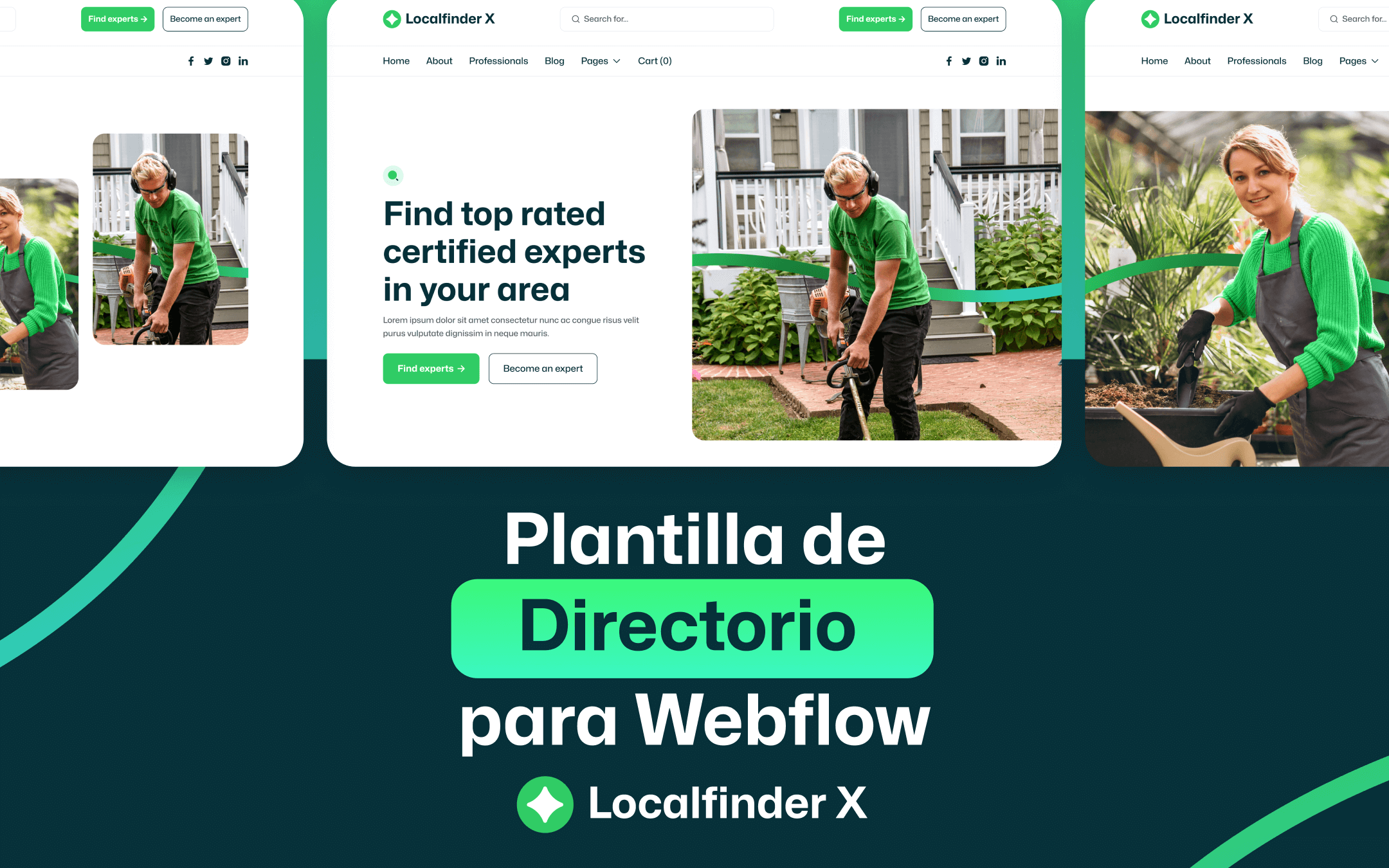 Plantilla de Directorio para Webflow