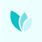 Plantilla de Aseguradora para Webflow