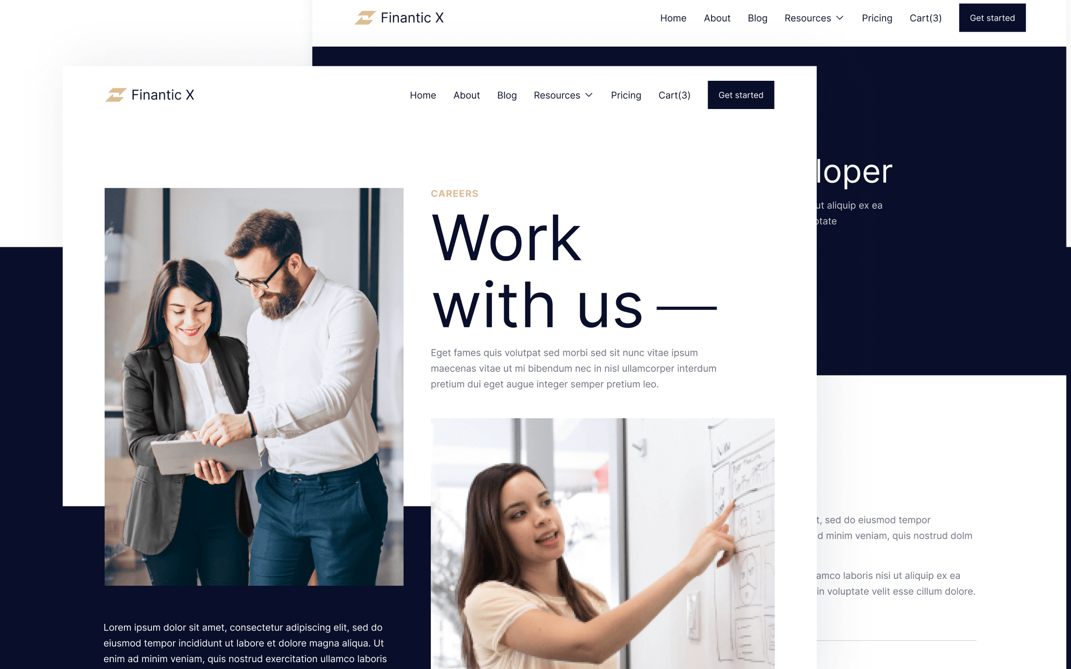 Finantic X Webflow Template