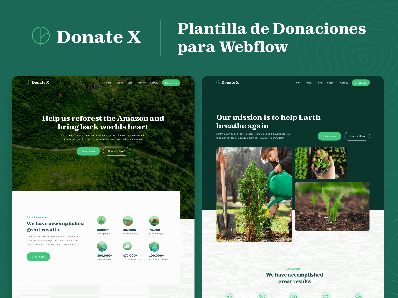 Plantilla de Donaciones para Webflow