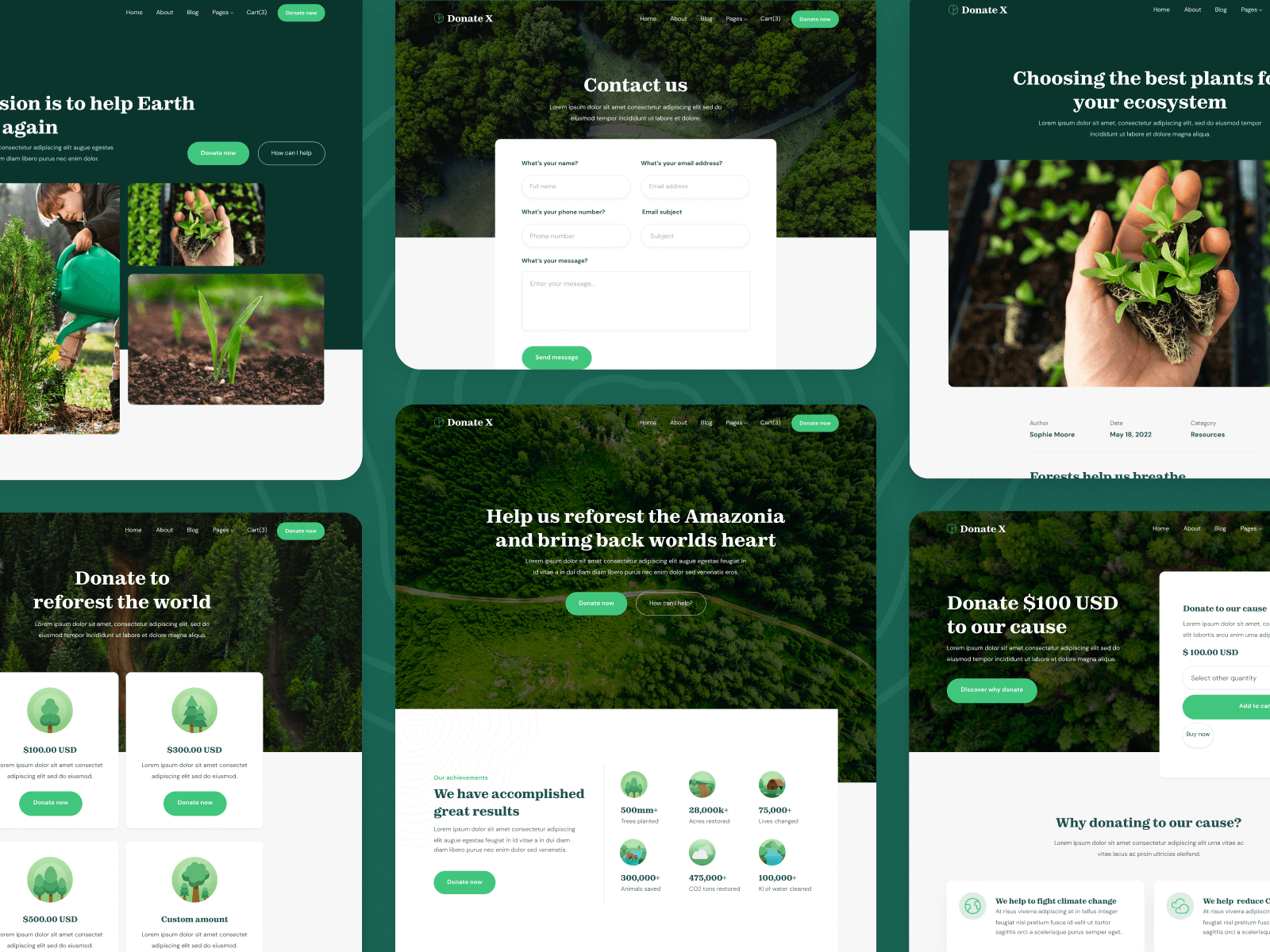 Plantilla para Webflow de Donaciones