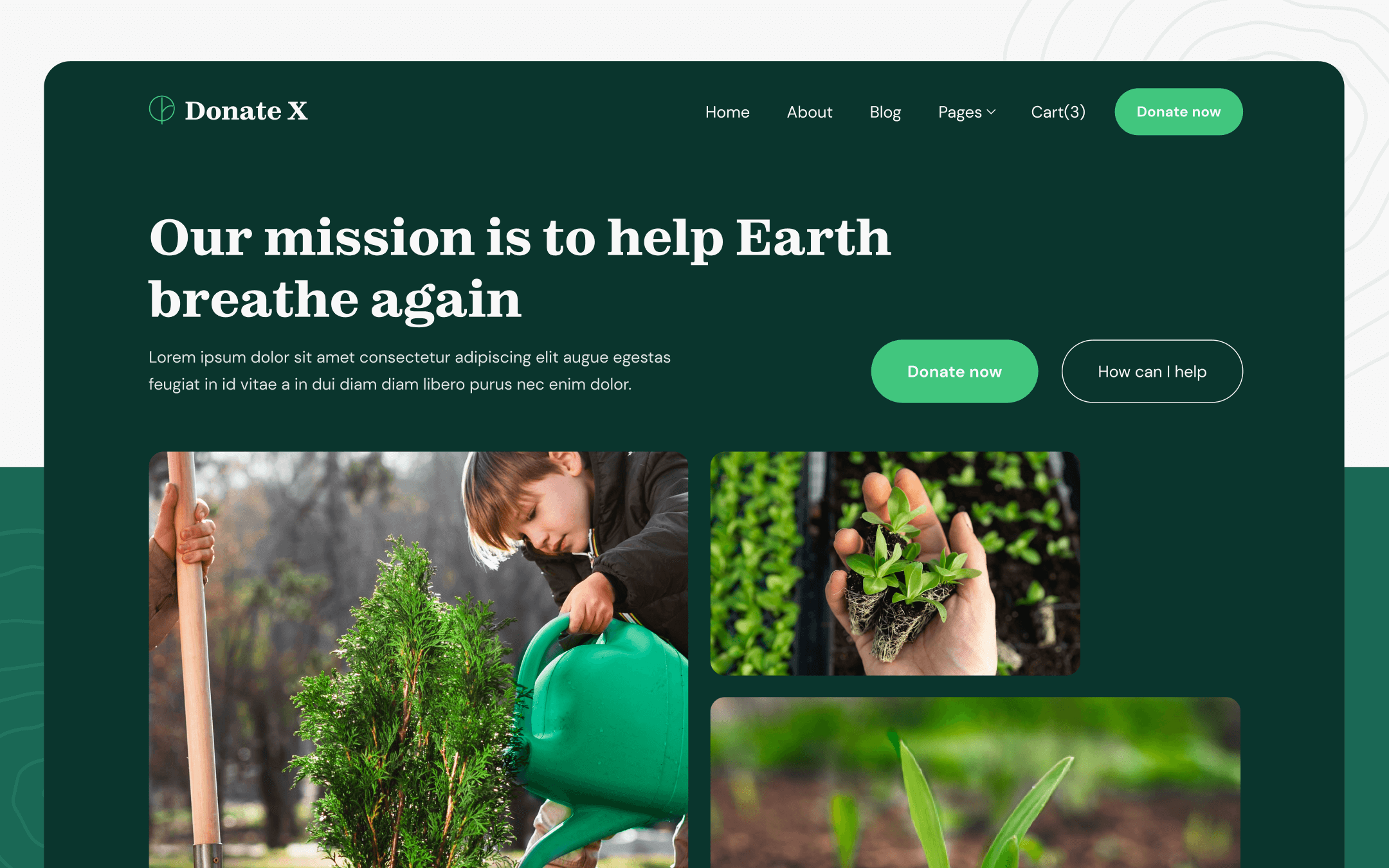 Donation X Template para Webflow