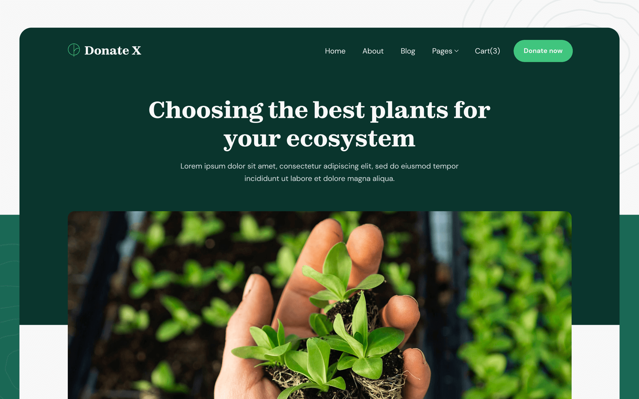 Donation X Template para Webflow