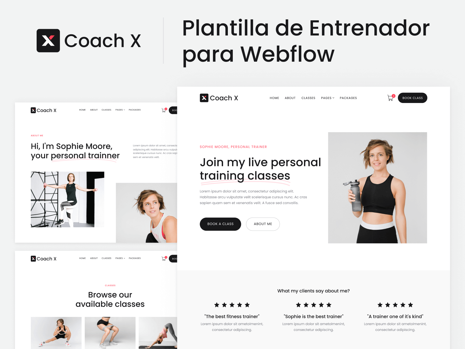 Plantilla de Entrenador para Webflow