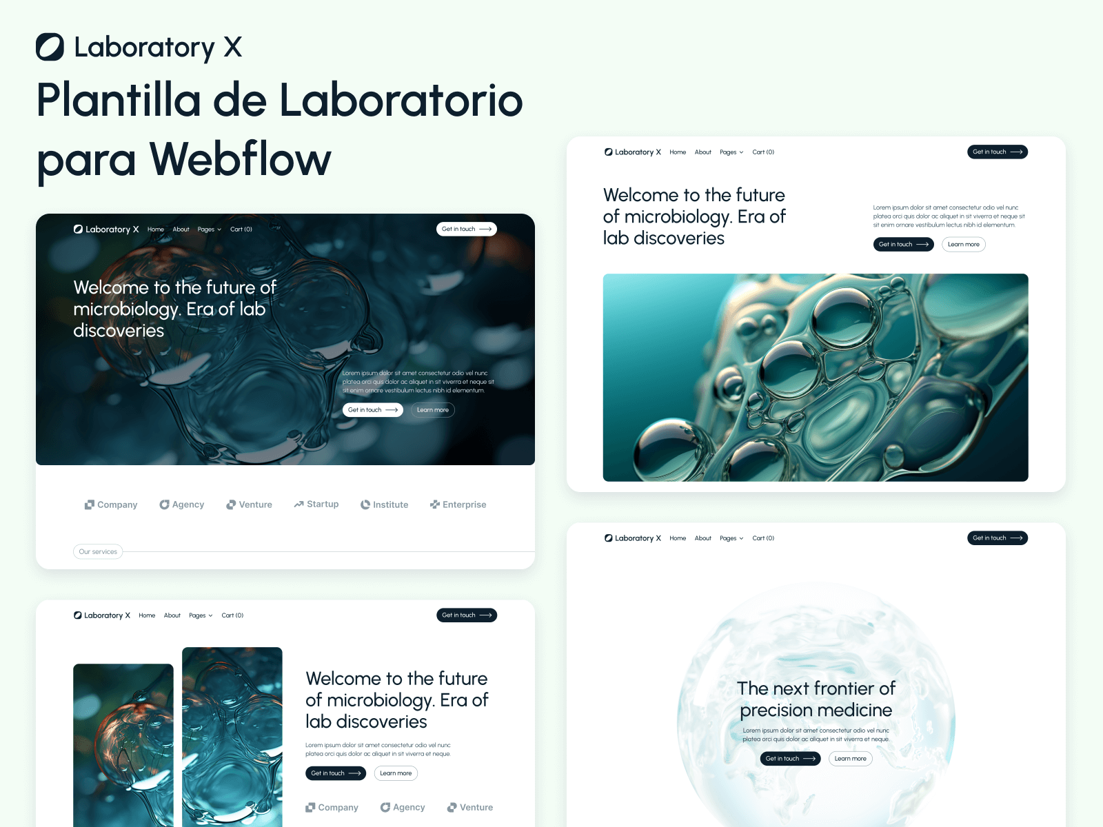 Plantilla de Laboratorio para Webflow