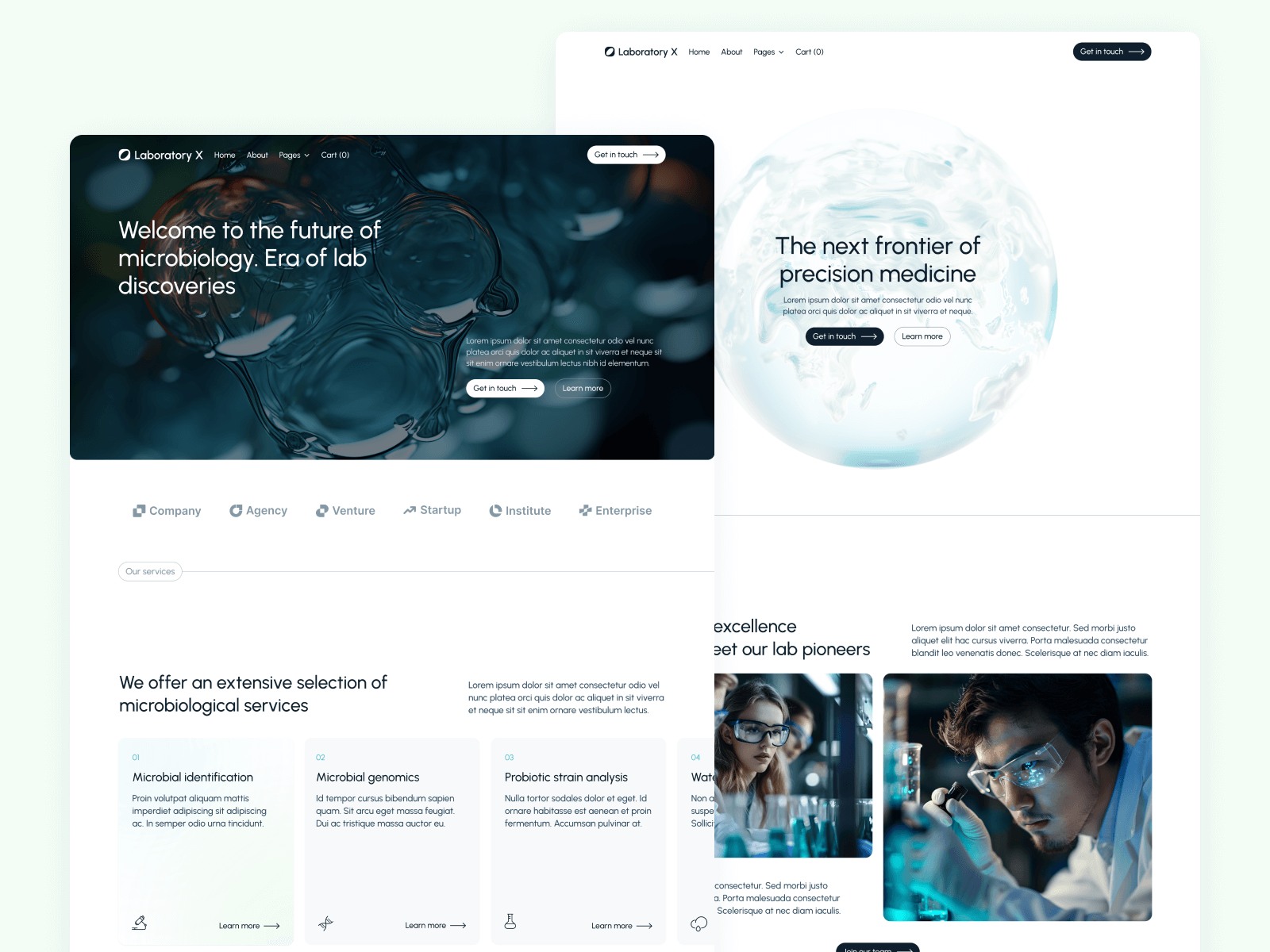 Template de Investigación de Laboratorio para Webflow