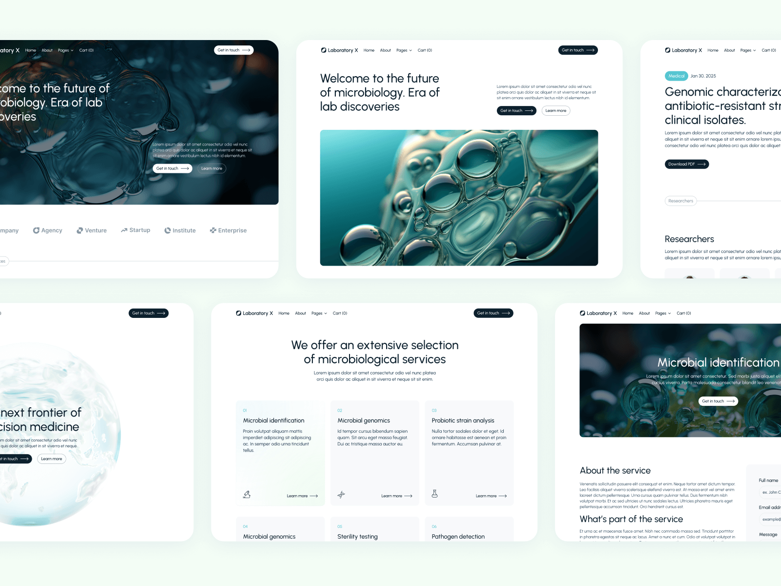 Plantilla de Investigación de Laboratorio para Sitio Web en Webflow