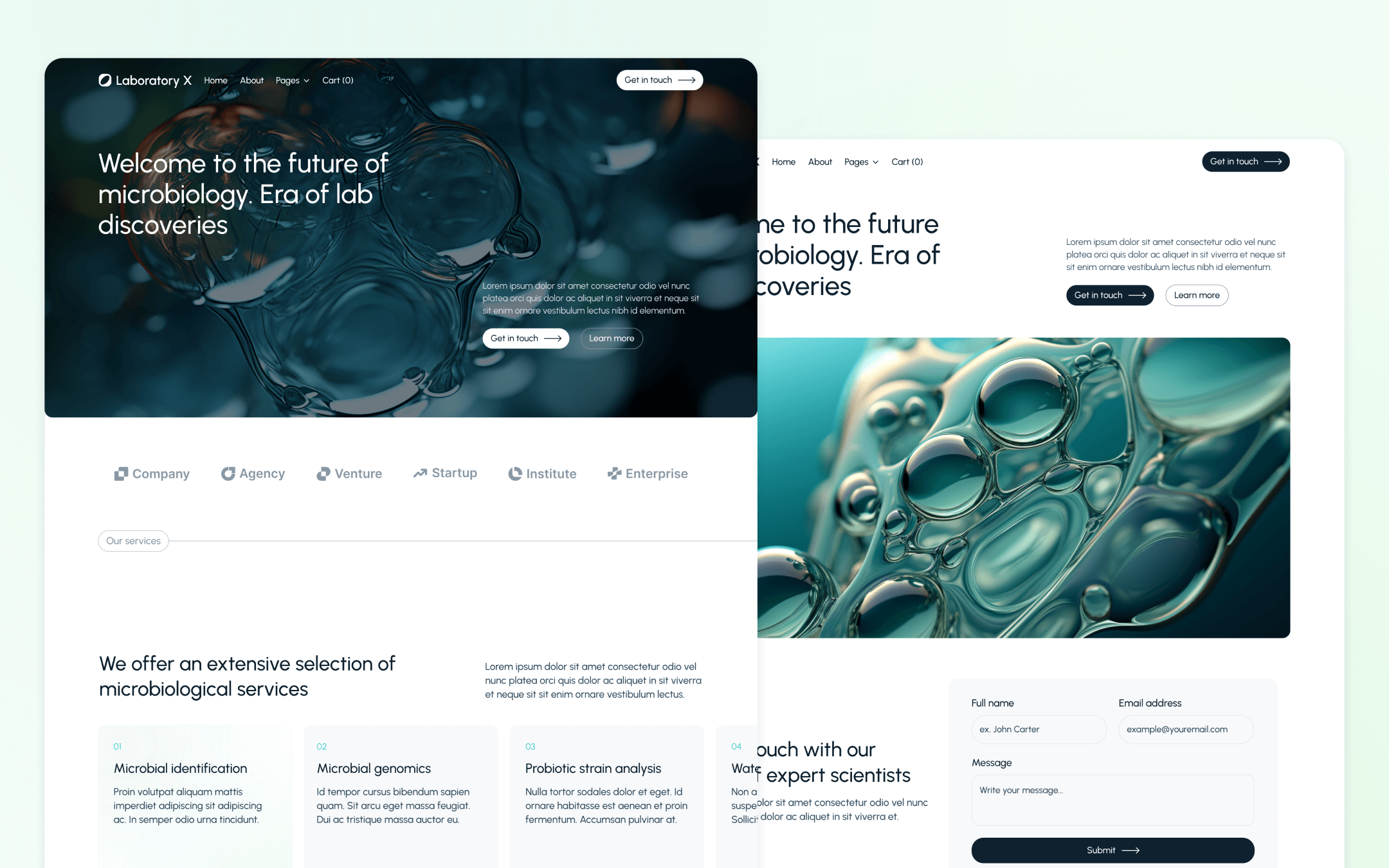 Laboratory X Template para Webflow