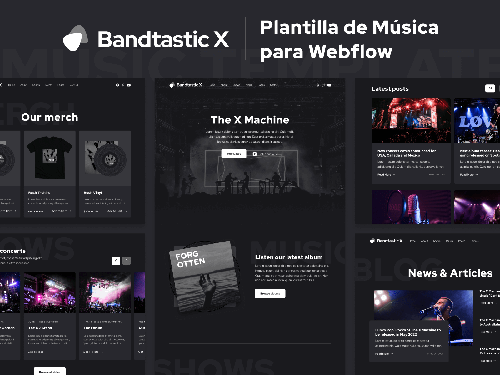 Plantilla de Música para Webflow