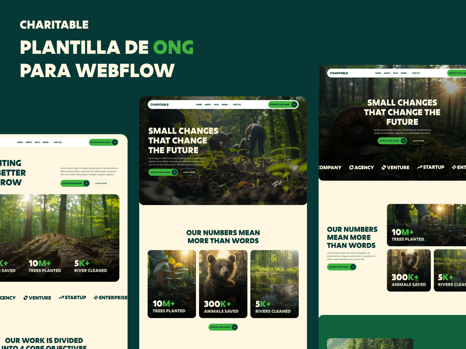 Plantilla de ONG para Webflow