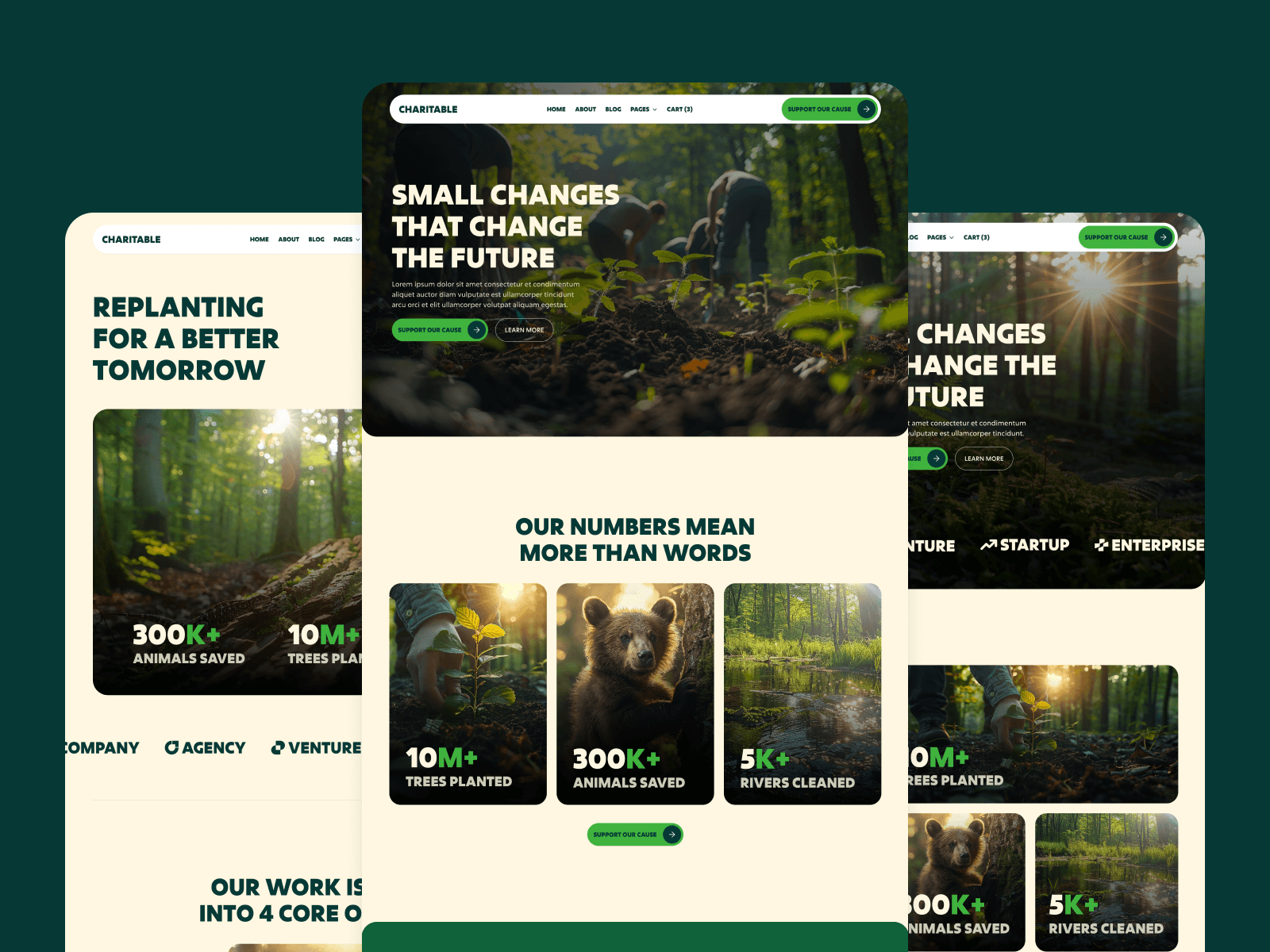 Plantilla para Webflow de ONG