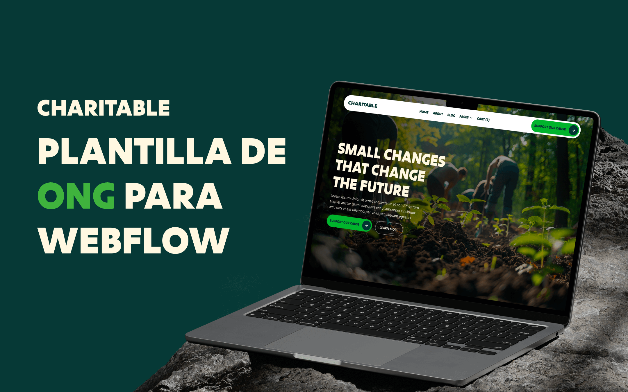 Plantilla de ONG para Webflow