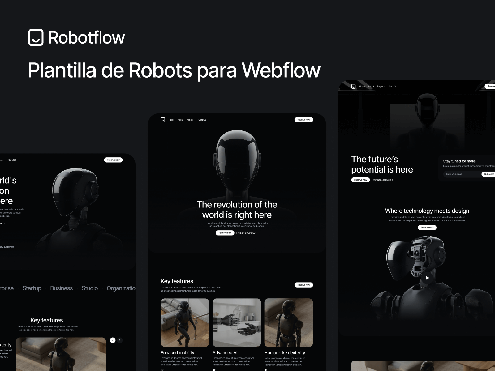 Plantilla de Robots para Webflow