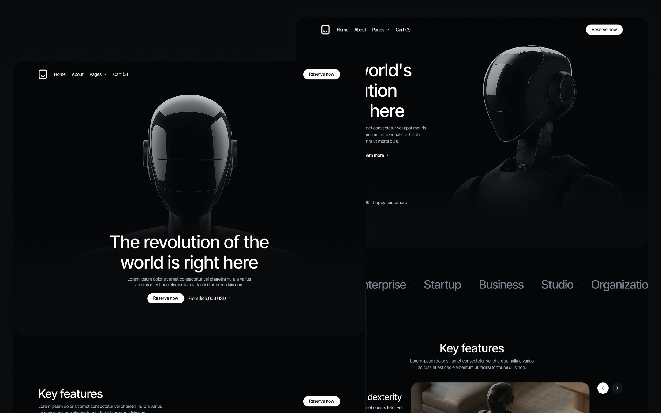 Robotflow Template para Webflow