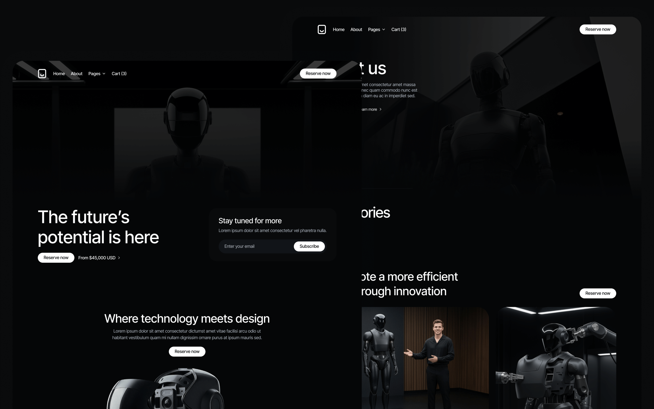 Robotflow Template para Webflow