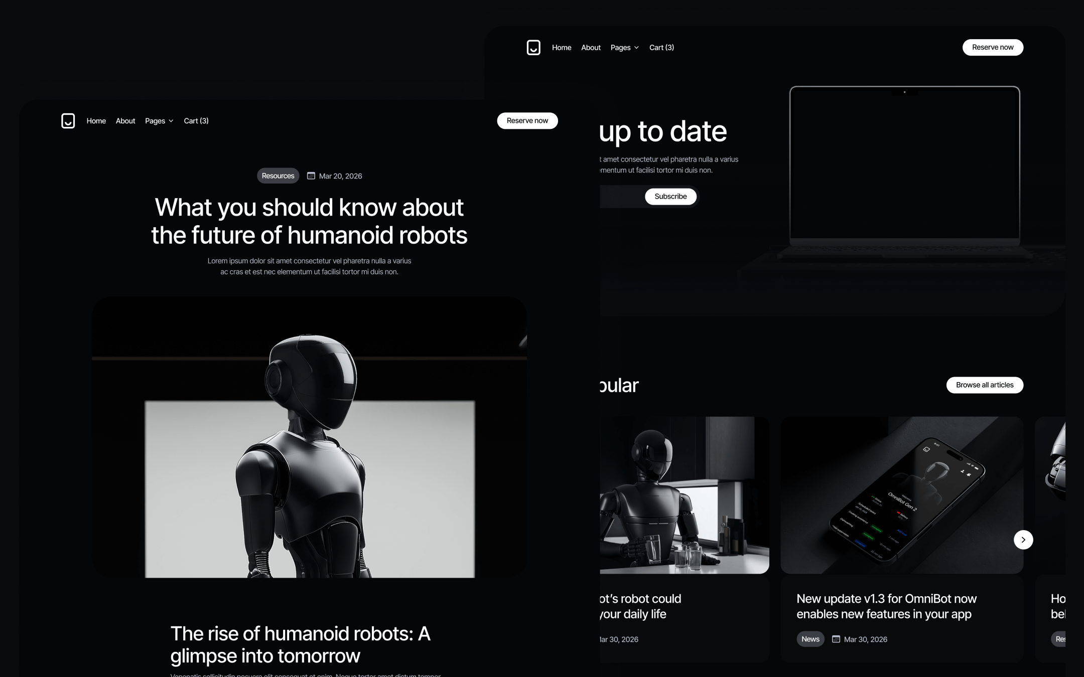 Robotflow Template para Webflow