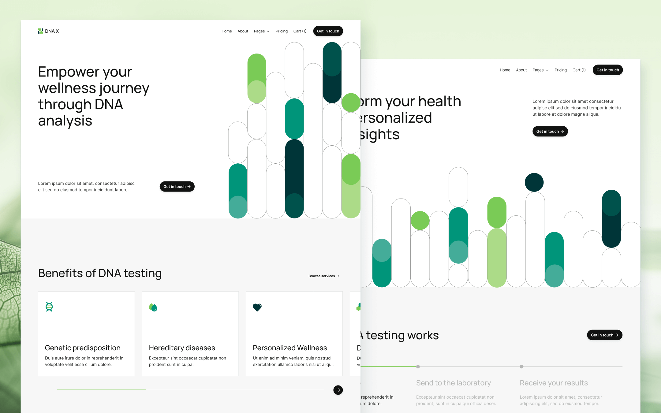 DNA X Template para Webflow