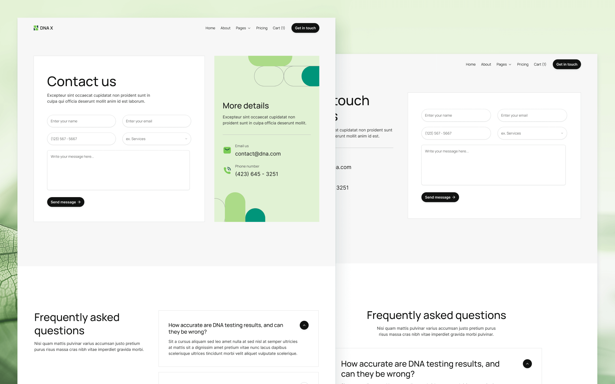 DNA X Template para Webflow