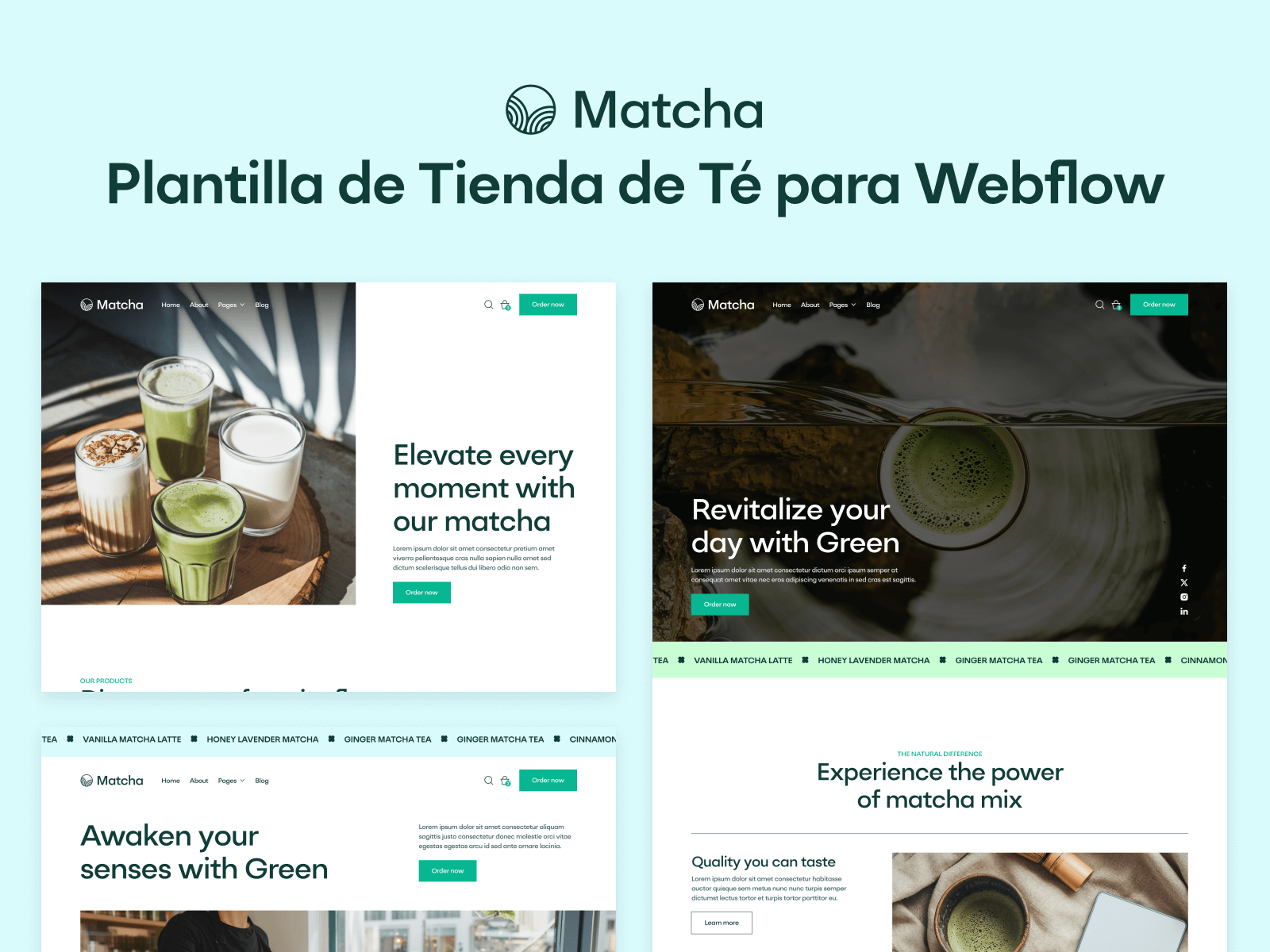 Plantilla de Tienda de Té para Webflow