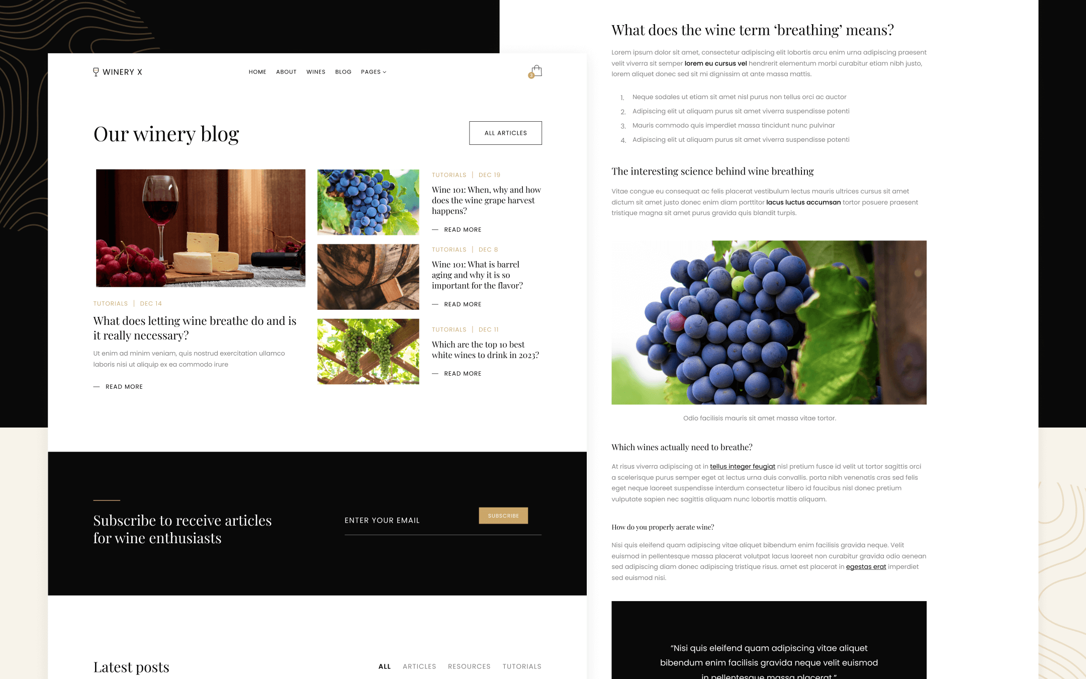 Winery X Template para Webflow