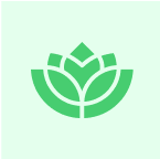 Plantilla de Yoga para Webflow